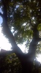 2013-07-06 17.59.45