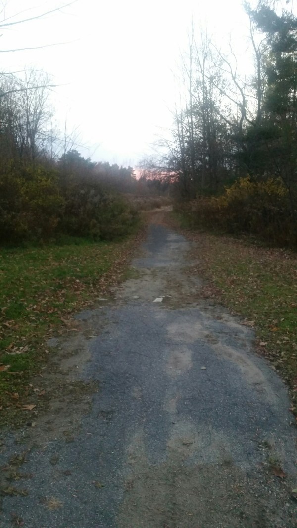 20151102_165456.jpg image